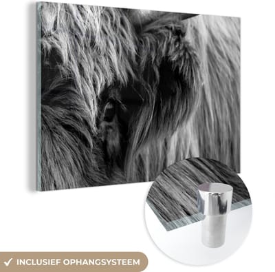 MuchoWow® Glasschilderij 120x80 cm - Schilderij acrylglas - Schotse Hooglander - Oog - Zwart - Wit - Foto op glas - Schilderijen