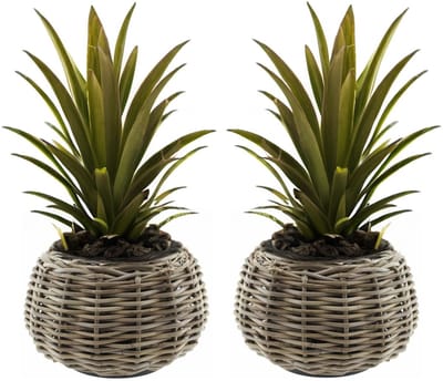 Van Der Leeden planten/bloemen mand - 2x - Tina - cilinder - rotan - gevlochten riet - D30 x H19 cm - drypot - plantenpot - plantenmand