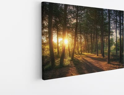 Saammp Canvas Schilderij - Natuur - Zonsondergang - Landschap - 45x30 - Foto op canvas - Wanddecoratie - Muurdecoratie Woonkamer - Slaapkamer decoratie - Canvas Print