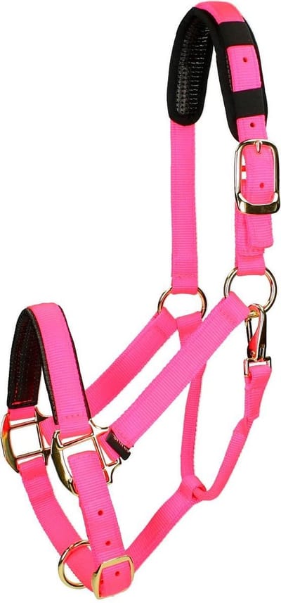 Shires Halster Shires Nylon Topaz Roze