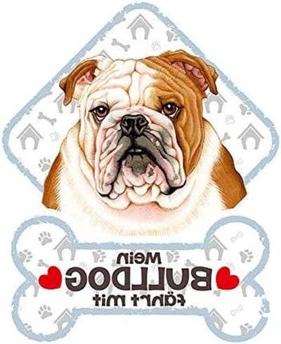 Hondenbord Auto - Dierensticker Raam - Autoruit Decoratie - Inclusief Zuignappen - 20 x 16 cm - Meerkleurig