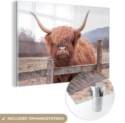 MuchoWow® Glasschilderij 150x100 cm - Schilderij acrylglas - Schotse Hooglander - Gras - Hek - Foto op glas - Schilderijen