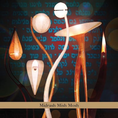 Midrash Mish Mosh - Aaron Alexander