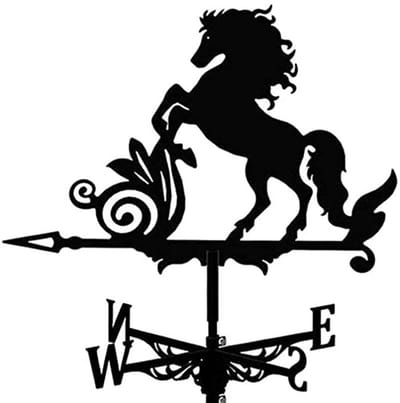 Dailygoods- Weervlag van metaal - Windwijzer voor tuin - Tuindecoratie - Roestvrij en duurzaam - Eenvoudig te monteren - Geeft windrichting aan