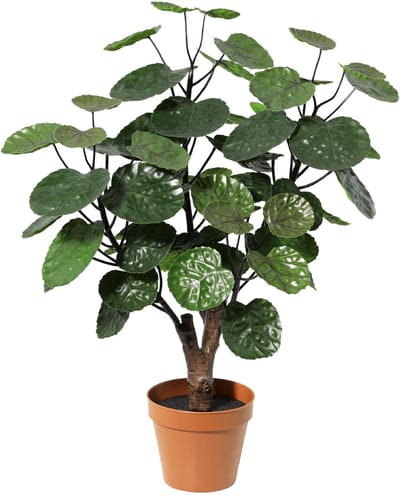 Florafy Kunstplant Polyscias Fabian 53cm - Kunstplanten voor binnen - Onderhoudsvrij