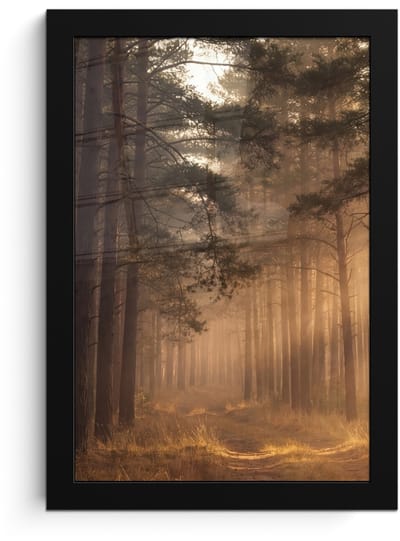 Poster in lijst - Fotolijst 20x30 cm - Posters - Bos - Mist - Zonlicht - Posterlijst zwart - Decoratie - Wanddecoratie woonkamer - Muurdecoratie slaapkamer