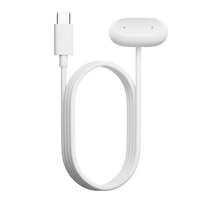 Google Fitbit Air Oplaadkabel USB-C - Sneeuw