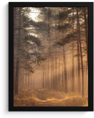 Poster in lijst - Fotolijst 30x40 cm - Posters - Bos - Mist - Zonlicht - Posterlijst zwart - Decoratie - Wanddecoratie woonkamer - Muurdecoratie slaapkamer