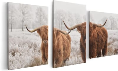 Artaza Canvas Schilderij Drieluik Twee Schotse Hooglander Koeien In De Wei - 120x60 - Foto Op Canvas - Canvas Print