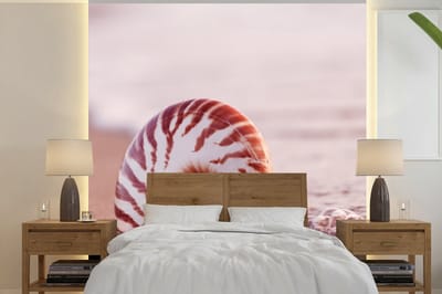 Behang - Fotobehang Schelp - Strand - Zee - Zand - Breedte 220 cm x hoogte 220 cm