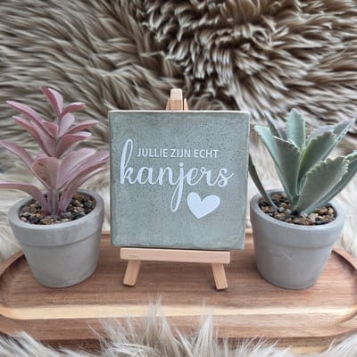 Robuust Wenstegeltje – Jullie Zijn Echt Kanjers – Hip trendy tegeltje – Bedankje voor Zorghelden, Team of Collega’s – Stoere en Betekenisvolle Wanddecoratie – Trendy nu – Decoratief Tegeltje met Standaard – Cadeau Idee