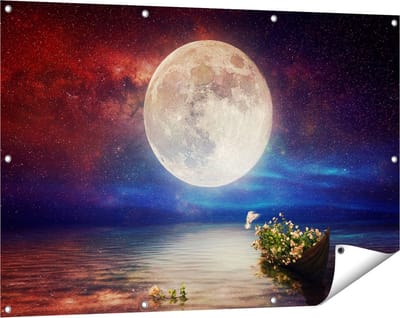 Gards Tuinposter Volle Maan in de Hemel boven het Water - 120x80 cm - Tuindoek - Tuindecoratie - Wanddecoratie buiten - Tuinschilderij