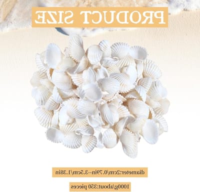 Witte Schelpen voor Creatief Gebruik, 500 g, 20-35 mm, Decoratieve Schelpen voor Vazen, Bruiloften, Strandfeesten en Aquariums