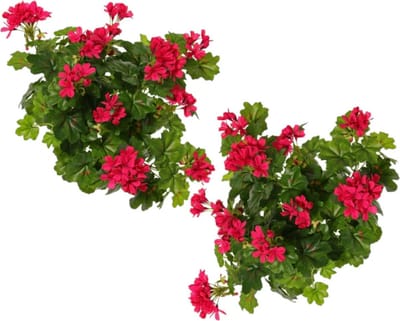 Topart Kunstbloemen boeket Oostenrijkse Geranium fuchsia roze 40 cm - 2x - Kunstplanten met bloemen