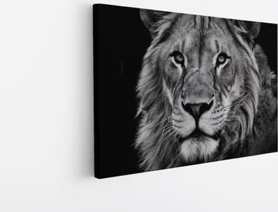 Saammp Canvas Schilderij - Leeuwen Portret - zwart-wit - Dieren - Natuur - 45x30 - Foto op canvas - Wanddecoratie - Muurdecoratie Woonkamer - Slaapkamer decoratie - Canvas Print