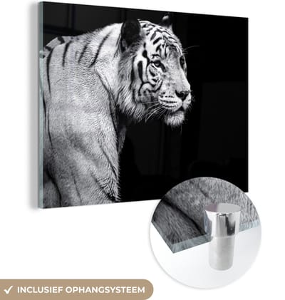 Glasschilderij - Foto op glas - Schilderij glas - Slaapkamer - Woondecoratie - Dieren - Tijger - Wilde dieren - Licht - Muurdecoratie - Woonkamer decoratie - Keukendecoratie - 160x120 cm