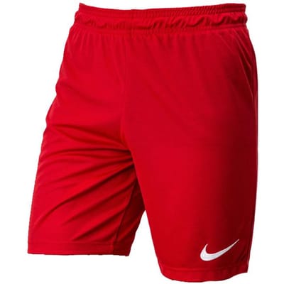 Nike Training Ademende Sportshorts Heren Shorts Rood AO4150-657 M red