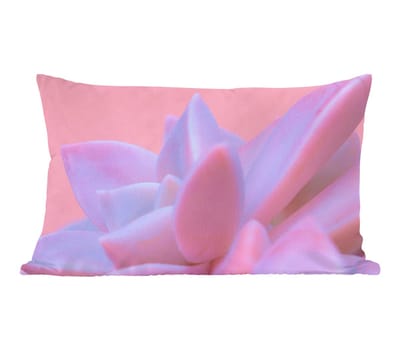Sierkussens - Kussentjes Woonkamer - 50x30 cm - Vetplant - Zomer - Roze - Planten