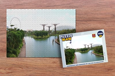 Puzzel Overzicht van Gardens by the Bay in Singapore - Legpuzzel - Puzzel 1000 stukjes volwassenen