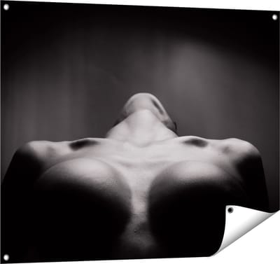 Gards Tuinposter Vrouwen Borsten - Erotiek - Zwart Wit - 100x80 cm - Tuindoek - Tuindecoratie - Wanddecoratie buiten - Tuinschilderij