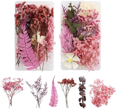 Pakket met 2 Natuurlijke Gedroogde Bloemen voor Creatieve DIY Projecten en Decoratie van Kaarten, Albums en Kaarsen in Roze
