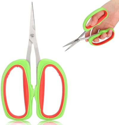 Dailygoods- Snoeischaar Roestvrij Staal - Ergonomisch Handvat - Antislip - Schokabsorberend - Voor Fruitbomen/Bonsai - Hoge Slijtvastheid - Tuinschaar