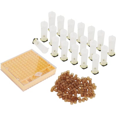 Boîte d'élevage de reine Cage Plastique Kit d'alvéoles d'élevage Équipements Apicoles Fournitures beige