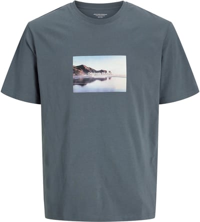 JACK&JONES - JWHVESTERBRO PICTURE TEE SS CREW NECK SN - Heren - T-shirts
