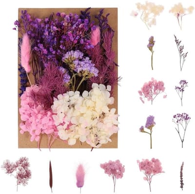 Gedroogde Bloemen Decoratie - Echte Geperste Bloemen - Ambachtelijk Knutselen - Natuurlijk Gedroogd - 120 Stuks - Paars