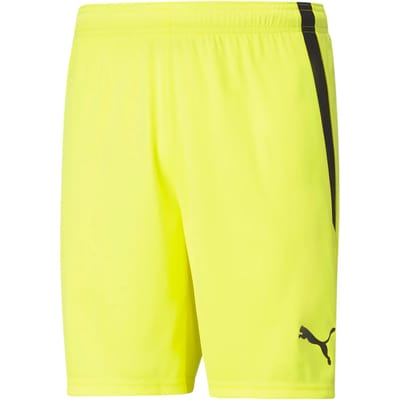 Short Puma teamLIGA