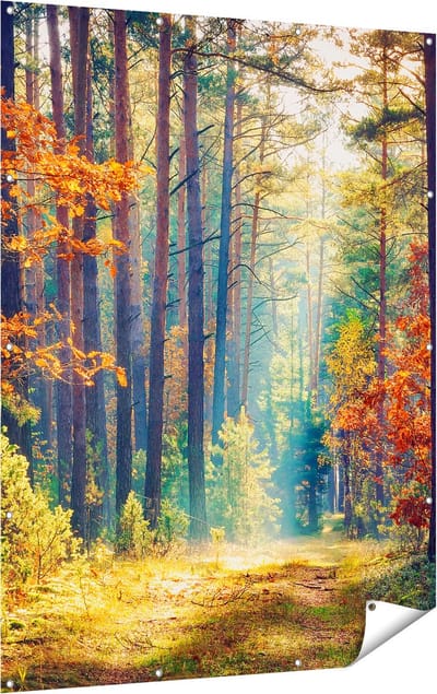 Gards Tuinposter Herfstbos met Zonneschijn - Kleur - 120x160 cm - Tuindoek - Tuindecoratie - Wanddecoratie buiten - Tuinschilderij