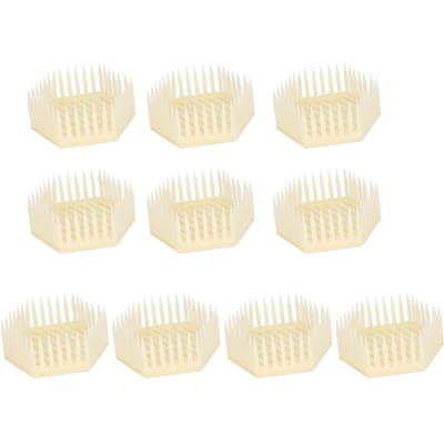 10 Stuks Zeshoekige Vorm Koninginnencel Imkergereedschap Bijenteeltuitrusting Bijenteeltaccessoires beige