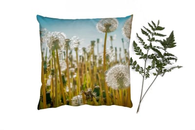 Sierkussens - Kussentjes Woonkamer - 40x40 cm - Bloemen - Paardenbloem - Grasveld