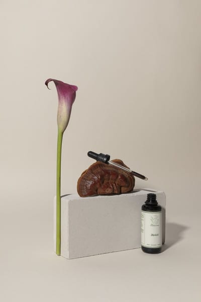 The Cosmic Club Reishi Tinctuur – Dubbel Extract – Organic – 50 ml