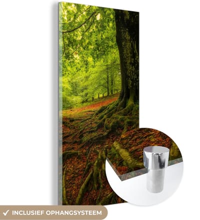 MuchoWow® Glasschilderij 20x40 cm - Schilderij acrylglas - Boom - Bos - Herfstbladeren - Foto op glas - Schilderijen