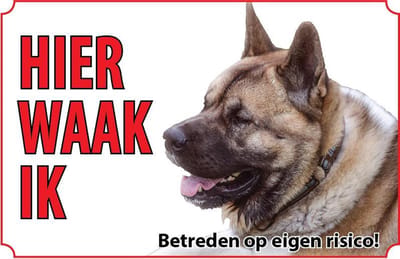 Bord - Hond-Amerikaanse-akita-Great -Japanese-dog