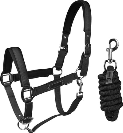 Halster Set Classic Delight | Mini Shetlander