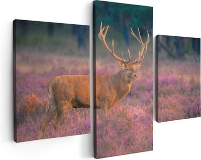 Artaza Canvas Schilderij Drieluik Hert In De Weide Tijdens Zonsondergang - 90x60 - Foto Op Canvas - Canvas Print