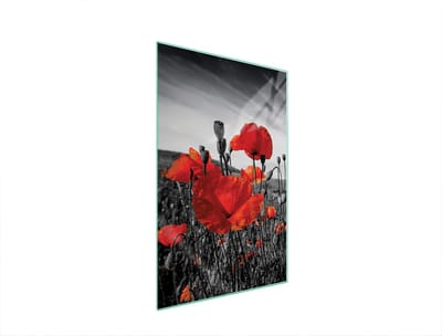 TMK ArtDeko - Snijplank - 35x52 cm - Maki - Gehard Glas