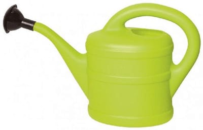 Kunststof gieter mintgroen 2L - Tuinaccessoires
