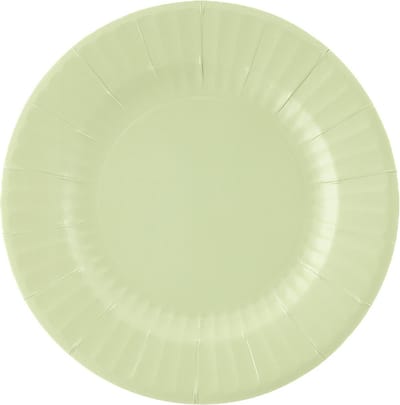 Givi Italia Feestbordjes/BBQ bordjes - 8x - mintgroen - rond - papier/karton - 27cm - biologisch afbreekbaar - groot