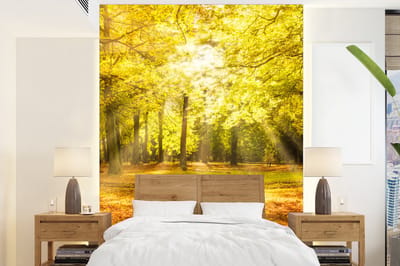 Behang - Fotobehang Boom - Natuur - Zon - Landschap - Bos - Breedte 205 cm x hoogte 280 cm