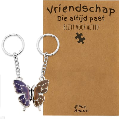 BFF Sleutelhanger voor 2 'Vriendschap die altijd past' - Vlinder VERANDERT VAN KLEUR - Sleutelhanger set op Cadeau Kaartje - Zilverkleurig - Vriendschap Symbool - Pax Amare