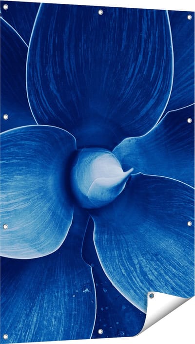 Gards Tuinposter Blauwe Agave Plant - Bloem - 80x120 cm - Tuindoek - Tuindecoratie - Wanddecoratie buiten - Tuinschilderij