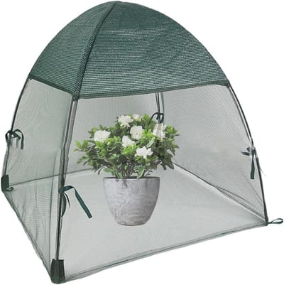 Tomatenkas voor buiten - Groeitent plantenhuis - Planten beschermen - Verhoogde plantengroei - x x cm - Transparant