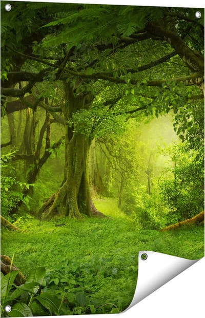 Gards Tuinposter Groene Tropische Jungle Bos - 60x80 cm - Tuindoek - Tuindecoratie - Wanddecoratie buiten - Tuinschilderij