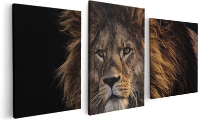 Artaza Canvas Schilderij Drieluik Leeuw - Leeuwenkop - 120x60 - Foto Op Canvas - Canvas Print