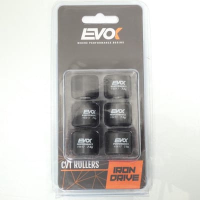 Galet rouleau de variateur EVOK pour Deux Roues 19x17 7.5Grs / 100480072 Neuf