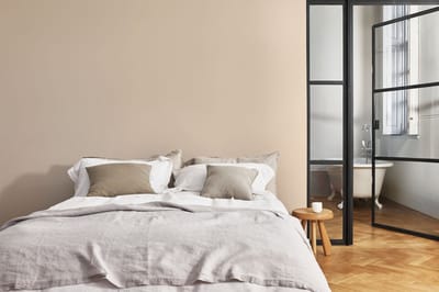 Levis - Expert Muur Binnen Mix - Clear Orange B20 - Mengverf - 10 L