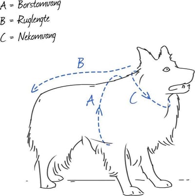 WERELD BEKENDE JULIUS K9 TUIG VOOR GEHANDICAPTE HOND VOORKANT MAAT: M